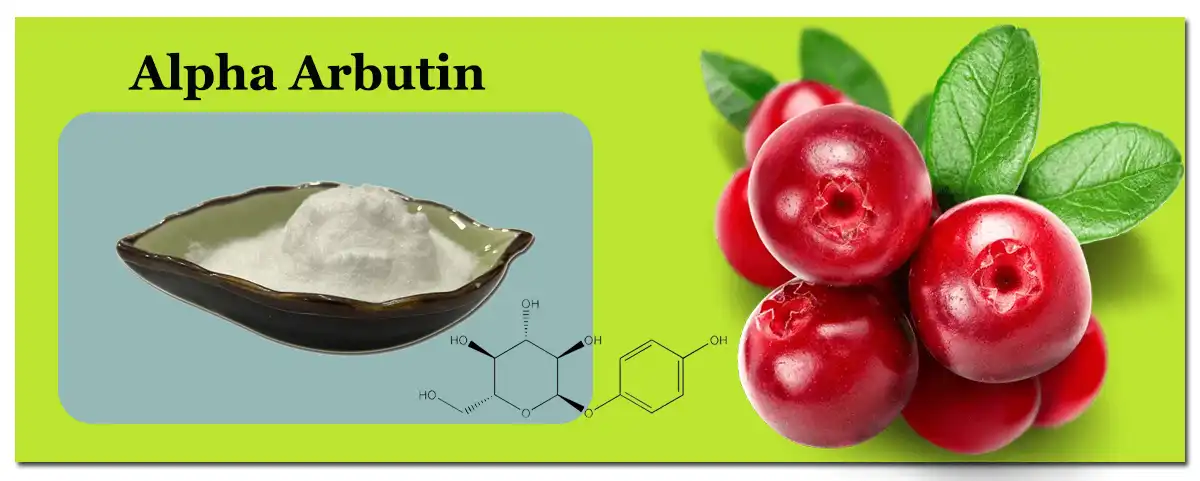 Alpha Arbutin Saler.jpg